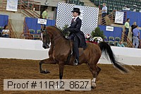 11r12_8627 proof