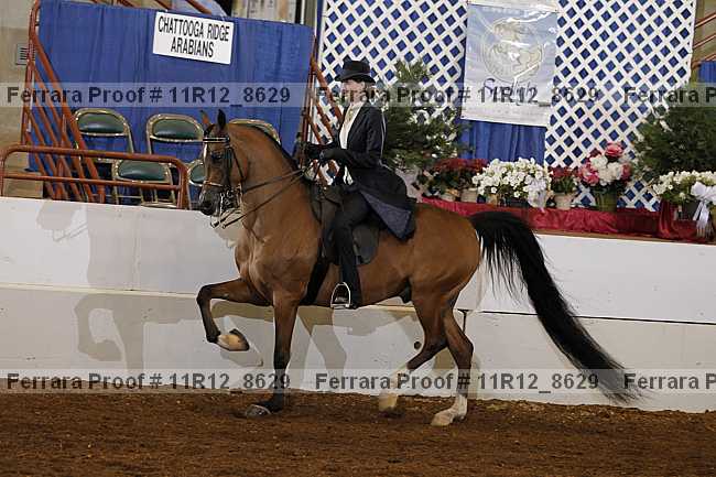 Proof 11r12_8629