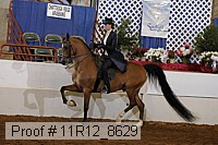 11r12_8629 proof