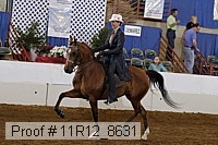 11r12_8631 proof