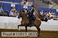 11r12_8633 proof