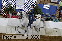 11r12_8636 proof