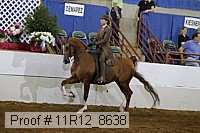 11r12_8638 proof