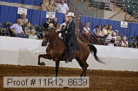 11r12_8639 proof