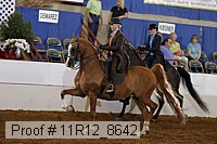 11r12_8642 proof