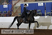 11r12_8648 proof