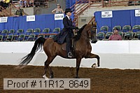 11r12_8649 proof