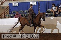 11r12_8652 proof