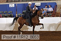 11r12_8653 proof