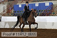 11r12_8655 proof