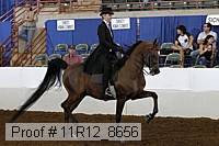 11r12_8656 proof