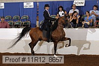 11r12_8657 proof