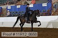 11r12_8658 proof