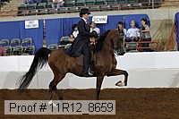 11r12_8659 proof