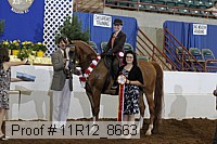 11r12_8663 proof