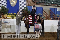11r12_8672 proof