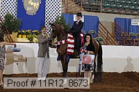 11r12_8673 proof