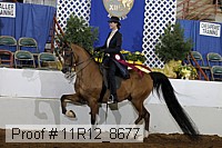 11r12_8677 proof