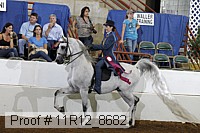 11r12_8682 proof