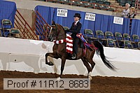 11r12_8683 proof