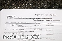 11r12_8720 proof
