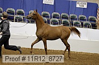 11r12_8727 proof