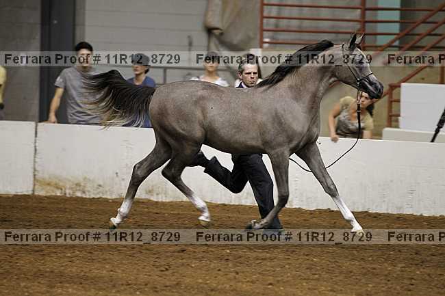 Proof 11r12_8729