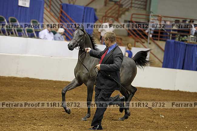 Proof 11r12_8732