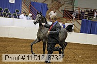 11r12_8732 proof