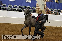 11r12_8733 proof