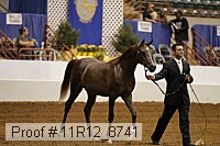 11r12_8741 proof