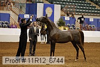 11r12_8744 proof