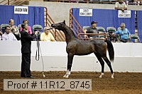 11r12_8745 proof