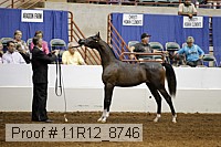 11r12_8746 proof