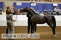 11r12_8750 proof