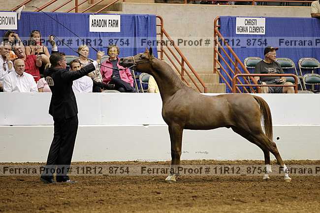 Proof 11r12_8754