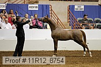 11r12_8754 proof
