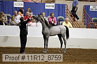 11r12_8759 proof