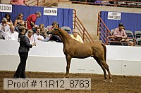 11r12_8763 proof