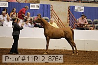 11r12_8764 proof