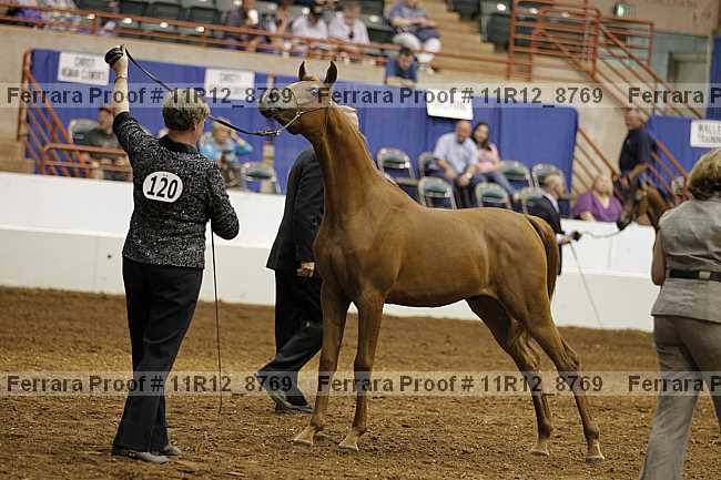 Proof 11r12_8769