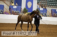 11r12_8771 proof