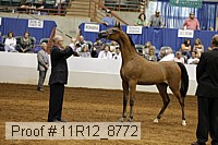 11r12_8772 proof