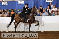 11r12_8859 proof