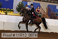 11r12_8874 proof