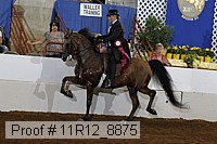 11r12_8875 proof