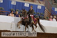 11r12_8877 proof