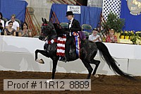 11r12_8889 proof