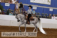 11r12_9208 proof