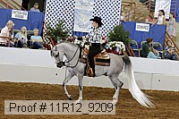 11r12_9209 proof